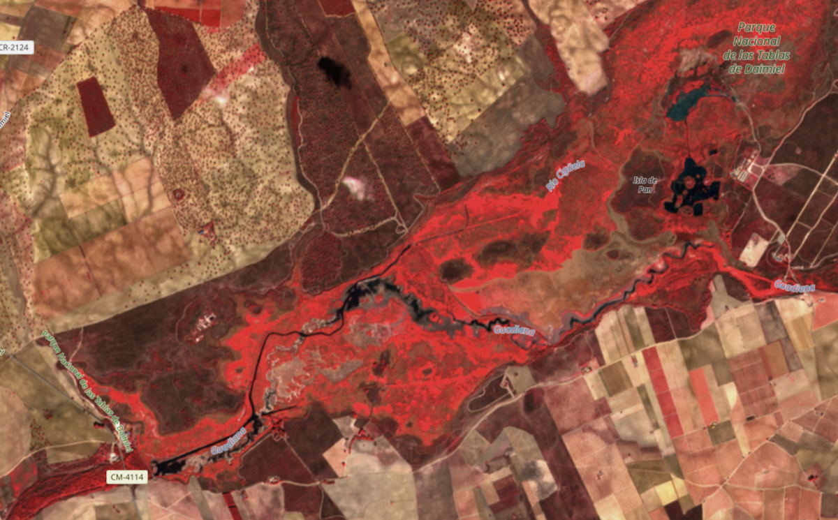 Inundacion Tablas de Daimiel